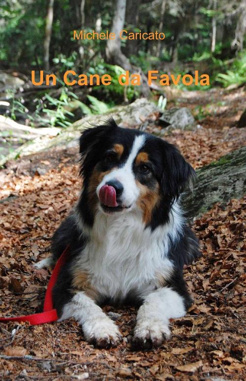 Un cane da favola - Michele Caricato - copertina