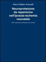 Neuroprotezione da rapamicina nell'ipossia-ischemia neonatale