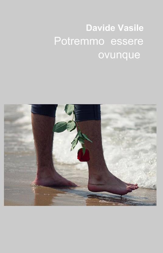 Potremmo essere ovunque - Davide Vasile - copertina