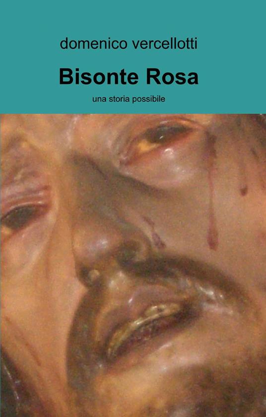 Bisonte rosa - Domenico Vercellotti - copertina