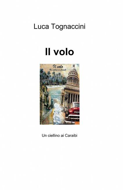 Il volo - Luca Tognaccini - copertina