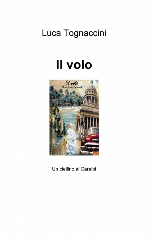 Il volo - Luca Tognaccini - copertina