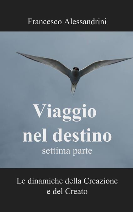 Viaggio nel destino. Vol. 7 - Francesco Alessandrini - copertina