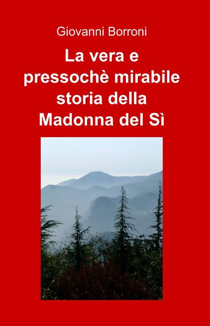 La vera e pressoché mirabile storia della Madonna del sì - Giovanni Borroni - copertina