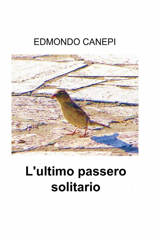 L' ultimo passero solitario - Edmondo Canepi - copertina