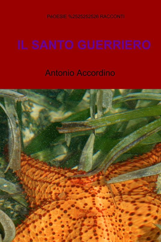 Il santo guerriero - Antonio Accordino - ebook