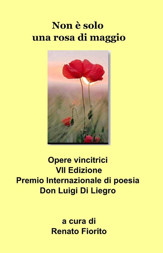 Non è solo una rosa di maggio - copertina