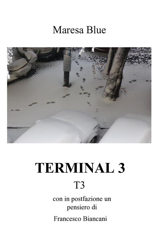 Terminal 3 - Maresa Blue - ebook