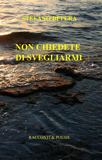 Non chiedete di svegliarmi - Stefano Befera - copertina