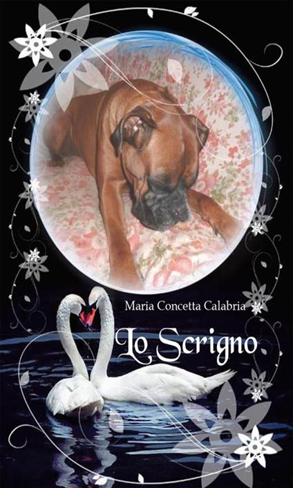 Lo scrigno - Maria Concetta Calabria - ebook