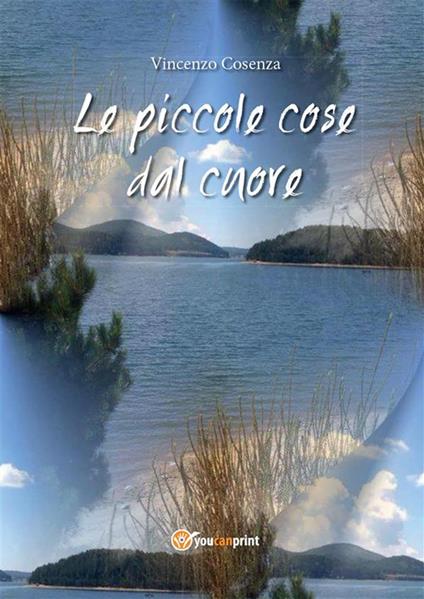 Le piccole cose dal cuore - Vincenzo Cosenza - copertina