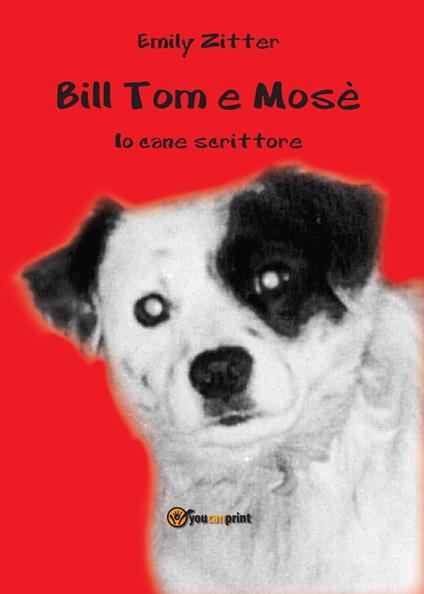 Bill Tom e Mosè. Io cane scrittore - Emily Zitter - copertina