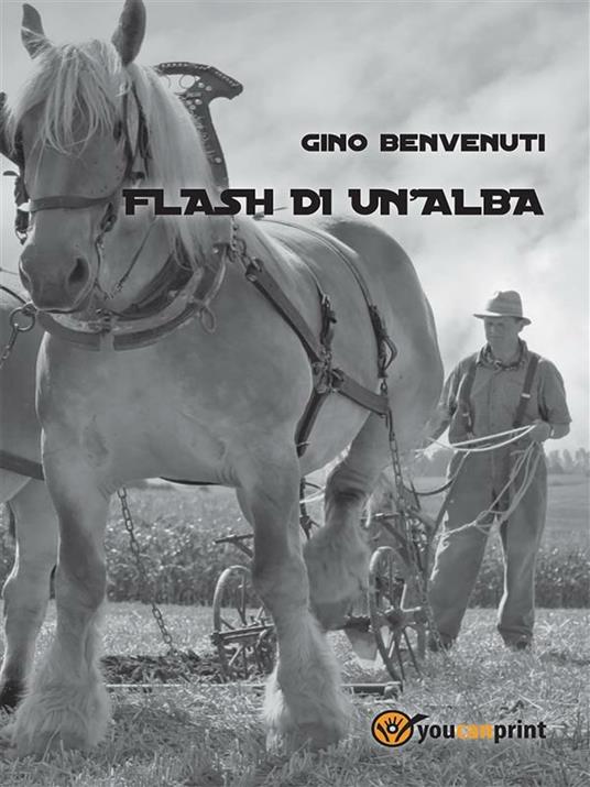 Flash di un'alba - Gino Benvenuti - ebook