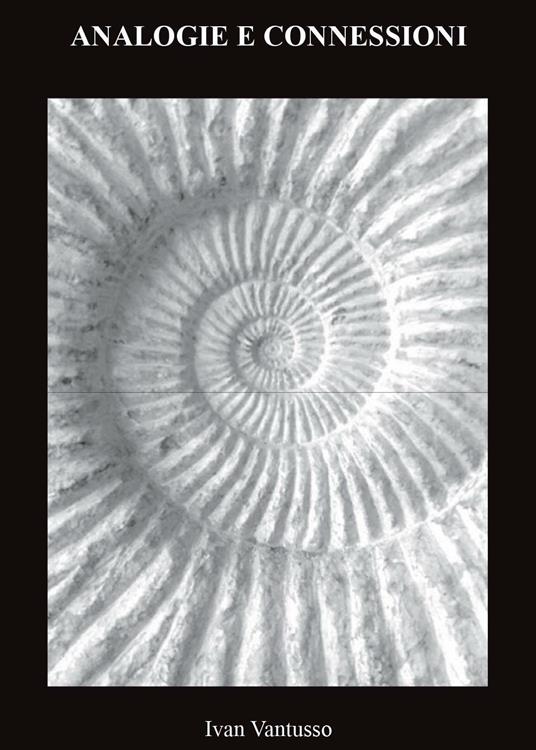 Analogie e connessioni - Ivan Vantusso - copertina