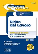 Diritto del lavoro. Manuale di base per la preparazione alla prova orale