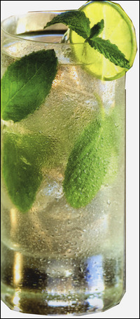 Libreria Internazionale Romagnosi snc