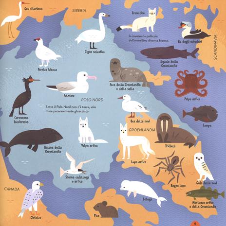 Animali del mondo. Con App - Anne McRae - 3