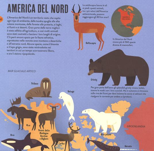 Animali del mondo. Con App - Anne McRae - 4