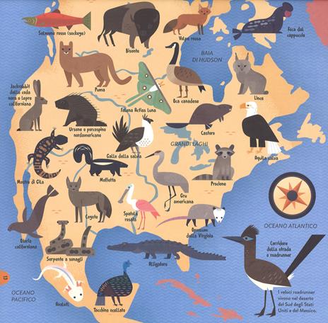 Animali del mondo. Con App - Anne McRae - 5
