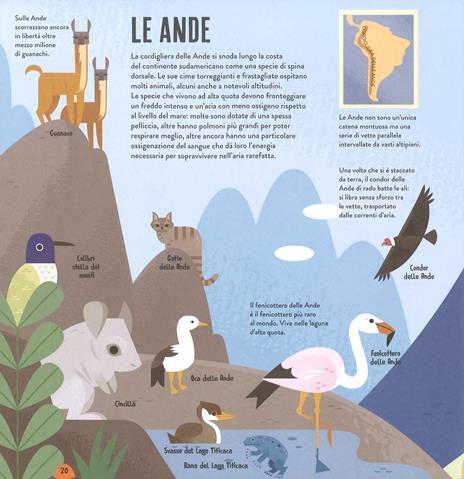 Animali del mondo. Con App - Anne McRae - 6
