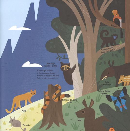 Animali del mondo. Con App - Anne McRae - 7