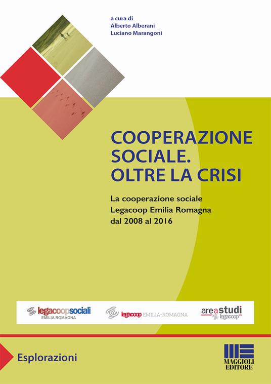 Cooperazione sociale. Oltre la crisi. La cooperazione sociale Legacoop Emilia Romagna dal 2008 al 2016 - copertina