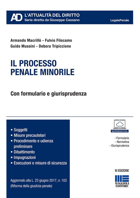 Il processo penale minorile - Armando Macrillò,Fulvio Filocamo,Guido Mussini - copertina
