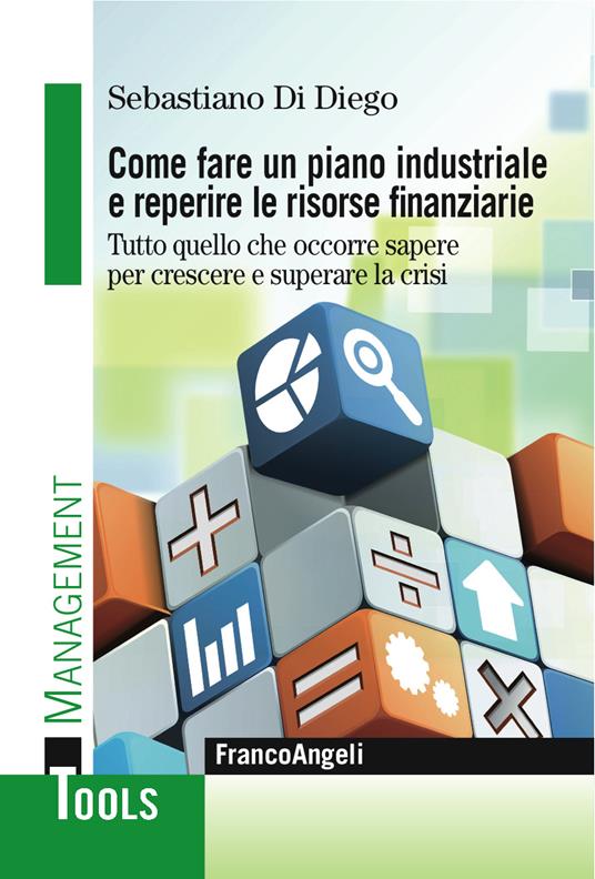 Come fare un piano industriale e reperire le risorse finanziarie. Tutto quello che occorre sapere per crescere e superare la crisi - Sebastiano Di Diego - ebook