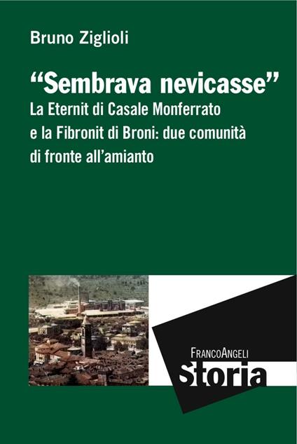 Sembrava nevicasse. La Eternit di Casale Monferrato e la Fibronit di Broni: due comunità di fronte all'amianto - Bruno Ziglioli - copertina