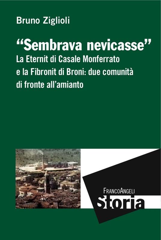 Sembrava nevicasse. La Eternit di Casale Monferrato e la Fibronit di Broni: due comunità di fronte all'amianto - Bruno Ziglioli - copertina