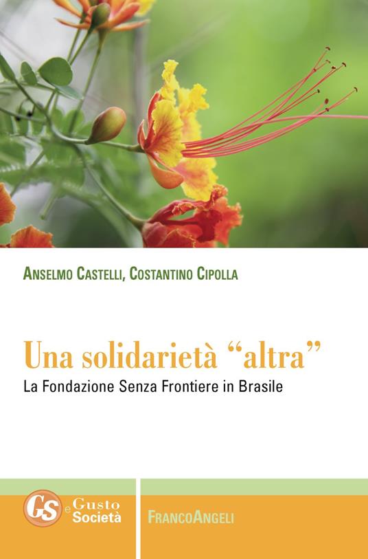 Una solidarietà «altra». La Fondazione Senza Frontiere in Brasile - Anselmo Castelli,Costantino Cipolla - copertina