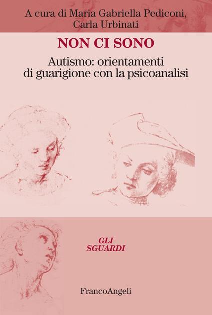 Non ci sono. Autismo: orientamenti di guarigione con la psicoanalisi - copertina