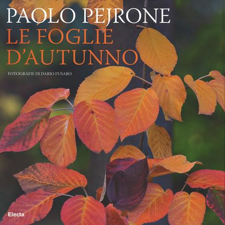 Le foglie d'autunno. Ediz. illustrata - Paolo Pejrone,Dario Fusaro - 3