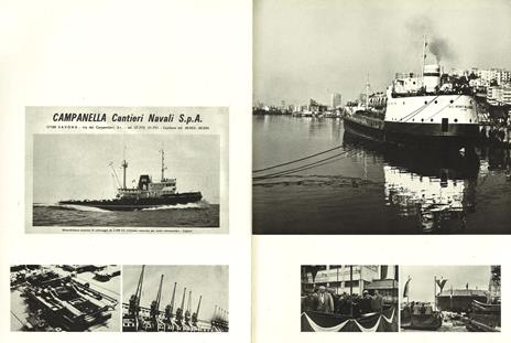 Mondo Marine. Ediz. illustrata - Decio Giulio Riccardo Carugati - 4