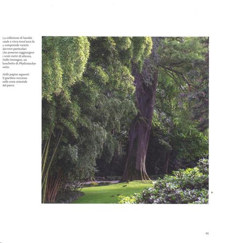 I giardini delle Isole Borromee. Ediz. a colori - Lucia Impelluso,Dario Fusaro - 5