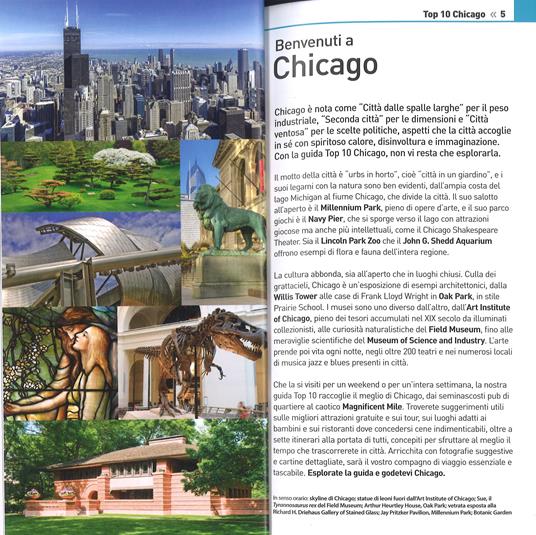 Chicago. Con Carta geografica ripiegata - Elaine Glusac,Elisa Kronish,Roberta Sotonoff - 2