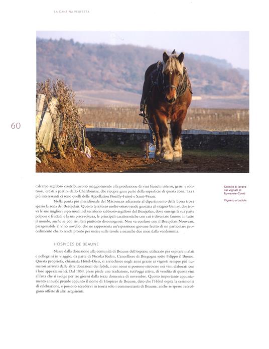 La cantina perfetta. Grandi vini da collezione. Ediz. a colori - Chiara Giannotti - 4