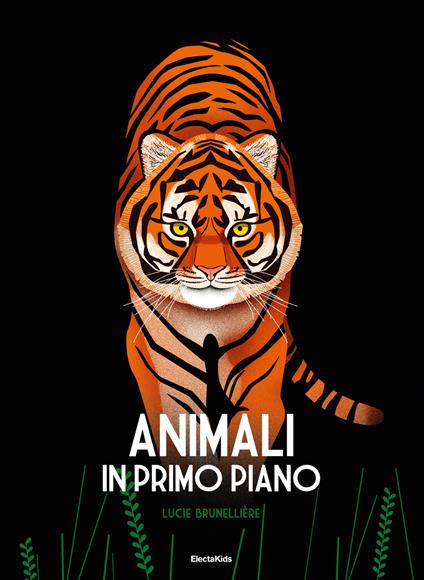 Animali in primo piano. Ediz. a colori - Lucie Brunelliere - copertina