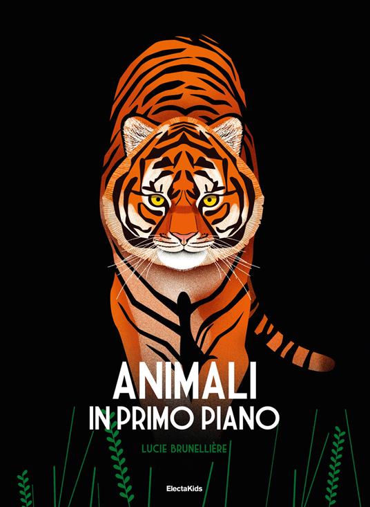 Animali in primo piano. Ediz. a colori - Lucie Brunelliere - copertina