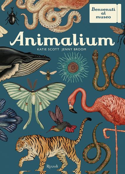 Animalium. Il grande museo degli animali - Katie Scott,Jenny Broom - copertina