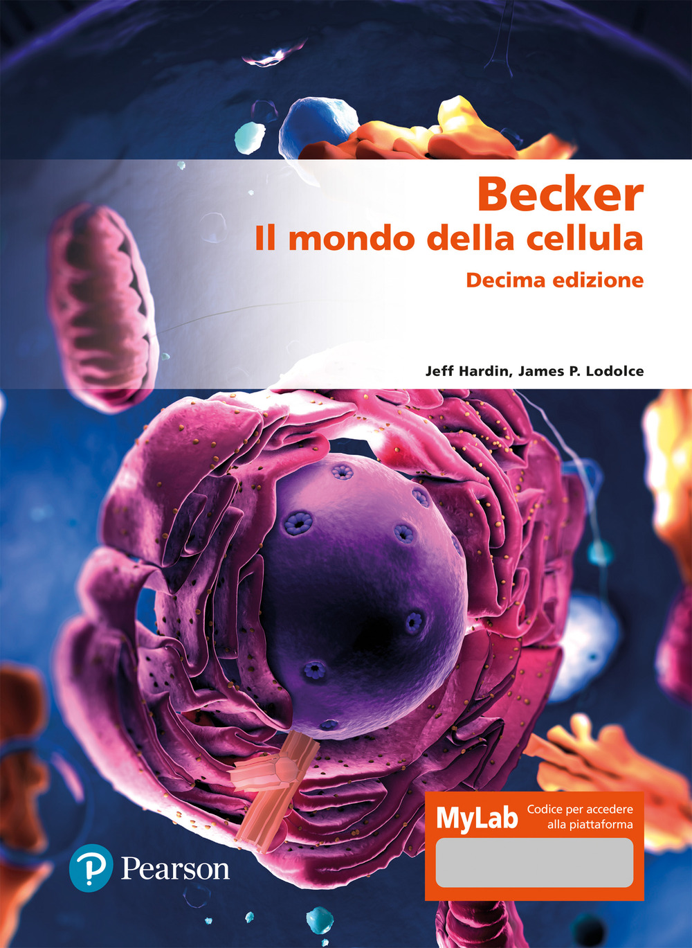 ibs