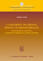 La maternità tra regole, divieti e plurigenitorialità. Fecondazione assistita, maternità surrogata, parto anonimo
