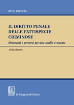 Il diritto penale delle fattispecie criminose. Strumenti e percorsi per uno studio avanzato