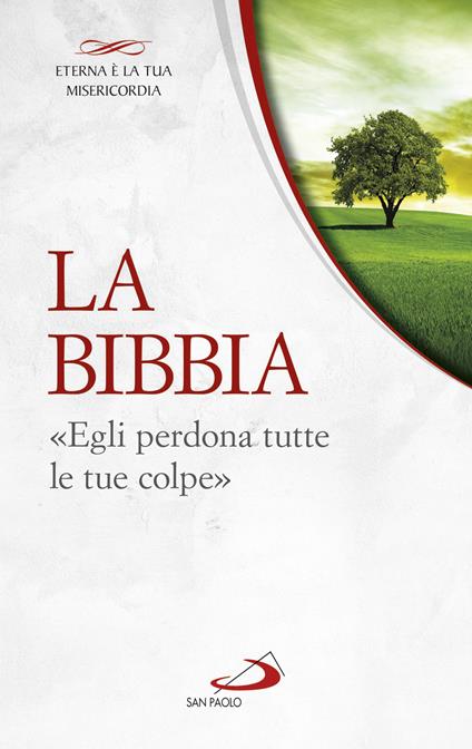 La Bibbia. «Egli perdona tutte le tue colpe» - Giuliano Vigini - ebook