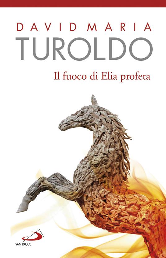 Il Fuoco di Elia profeta. Omelie 1989-1990. Testamento spirituale - David Maria Turoldo - ebook