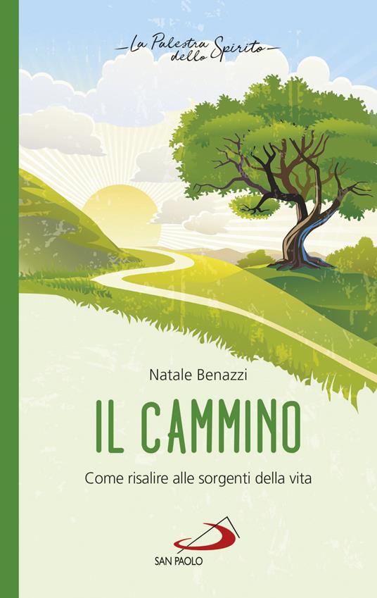 Il cammino. Come risalire alle sorgenti della vita - Natale Benazzi - ebook