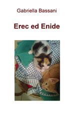 Erec ed Enide. 