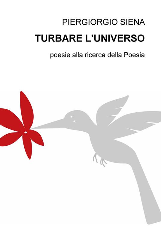 Turbare. Poesie alla ricerca della poesia - Piergiorgio Siena - copertina