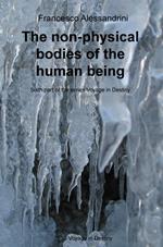 The non-physical bodies of the human being. Voyage in the destiny. Vol. 6