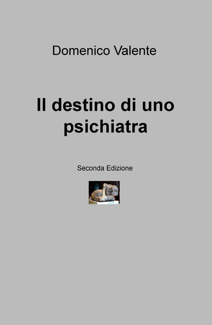 Il destino di uno psichiatra - Domenico Valente - copertina